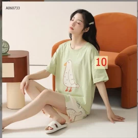 BỘ ĐÙI COTTON MẶC NHÀ - sỉ 158k