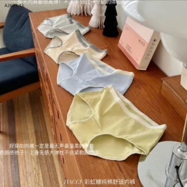 SET 6 QUẦN CHIP NỮ CAO CẤP- sỉ 153k/set