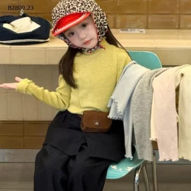 ÁO GIỮ NHIỆT VIỀN BÈO-Giá sỉ 163k