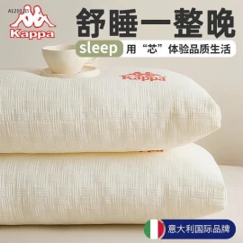 RUỘT GỐI SỢI ĐẬU NÀNH LOẠI A – KAPPA AUTH  - sỉ 200k/cặp