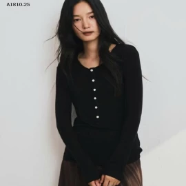 ÁO THUN DÀI TAY THU ĐÔNG - sỉ 172k