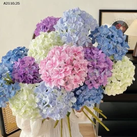 HOA CẨM TÚ CẦU -Giá sỉ 179k /1 bó 7  bông