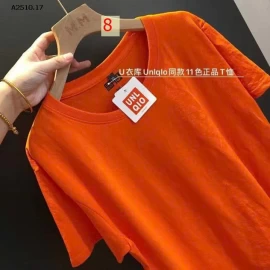 ÁO PHÔNG CỘC TAY TRƠN UNI- sỉ 71k