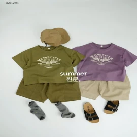 ÁO THUN HÈ SỐ 88-Giá sỉ 118k