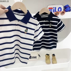  BST ÁO POLO CỘC TAY NHÀ KACADY-Giá sỉ 113k