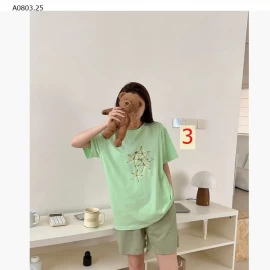 BỘ CỘC TRÁI CÂY MÙA HÈ- sỉ 191k