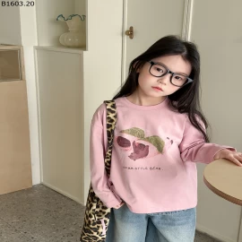 Áo thun hè dài tay  in hình  NHÀ AMBB giá sỉ  sz 100-150 : 139k sz 160 : 155k sz 170 : 169k