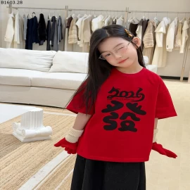 Áo thun ngắn tay kiểu Mỹ thời trang dáng rộng NHÀ AMBB giá sỉ  sz 100-150 : 129k sz 160 : 141k sz 170 : 154k