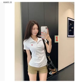 ÁO POLO NỮ TÔN DÁNG - sỉ 132k