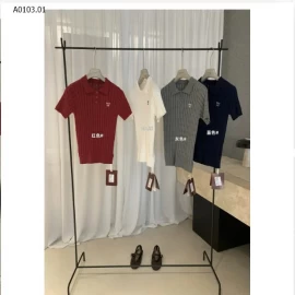 ÁO POLO LEN CỘC TAY W.G.W.E- sỉ 272k