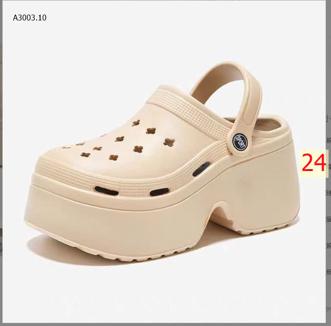 MÀU 24