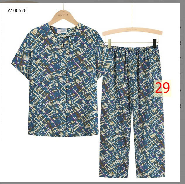 MẪU 29