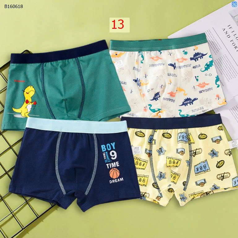 mẫu 13