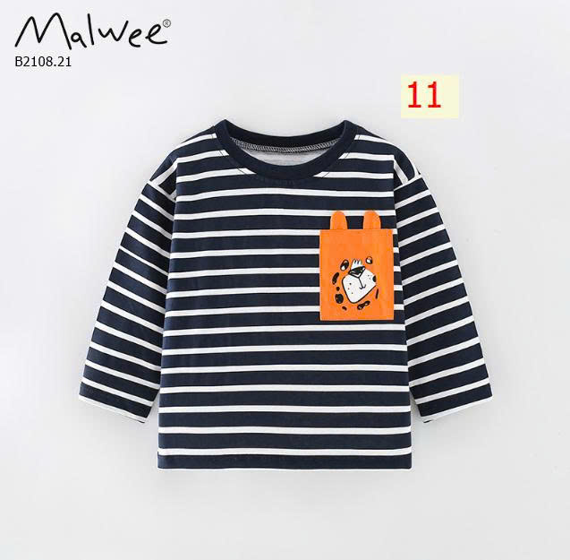 MẪU 11