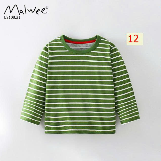 MẪU 12