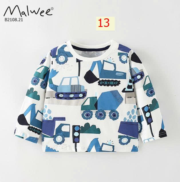 MẪU 13