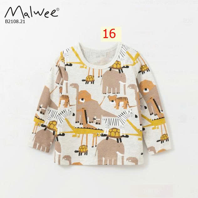 MẪU 16