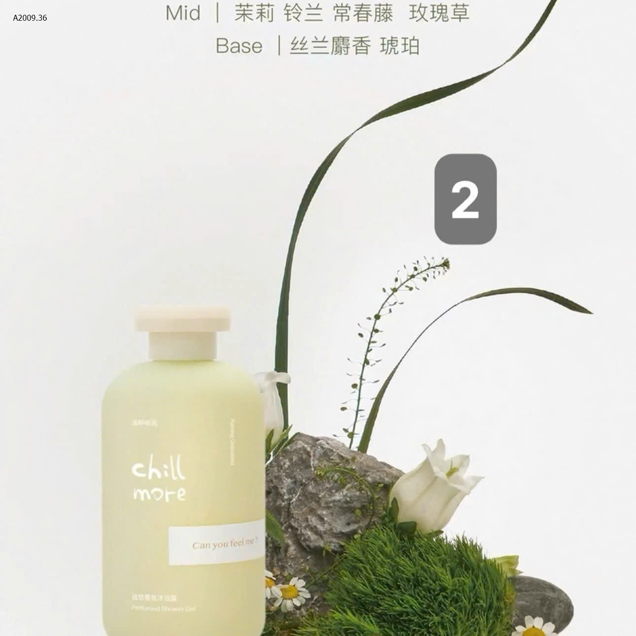 MẪU