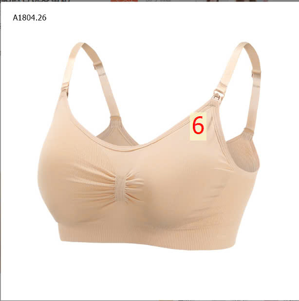 MÀU 6