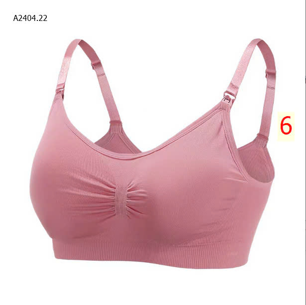 MÀU 6