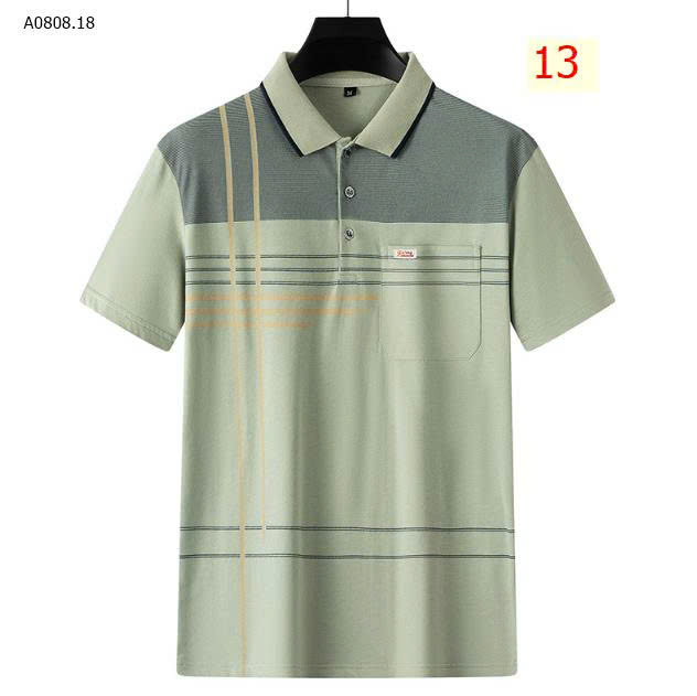 MẪU 13