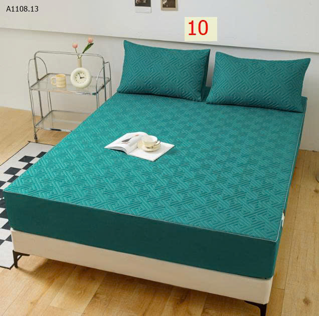 MẪU 10