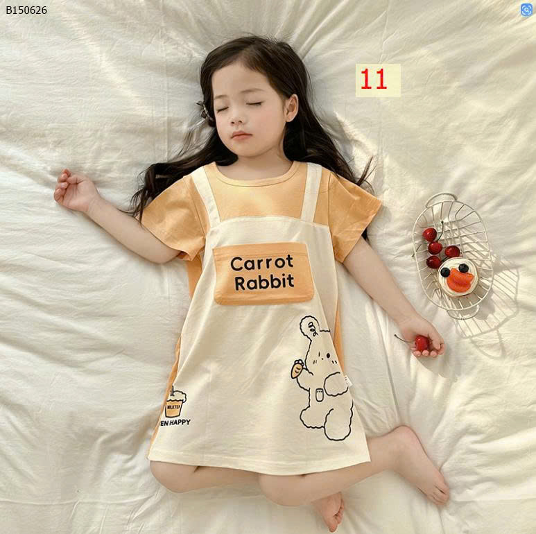 MẪU 11