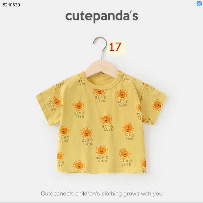 MẪU 17