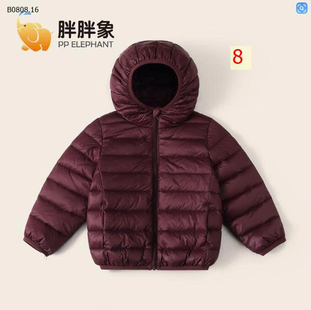 MẪU 8
