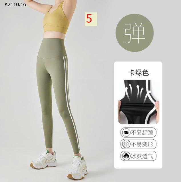 MẪU 5