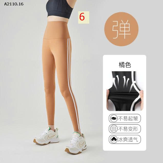 MẪU 6