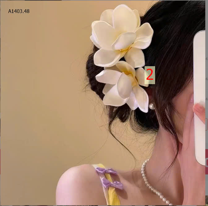 MÀU