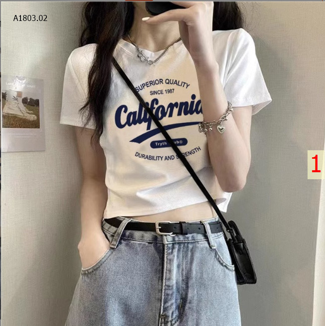 MẪU 1