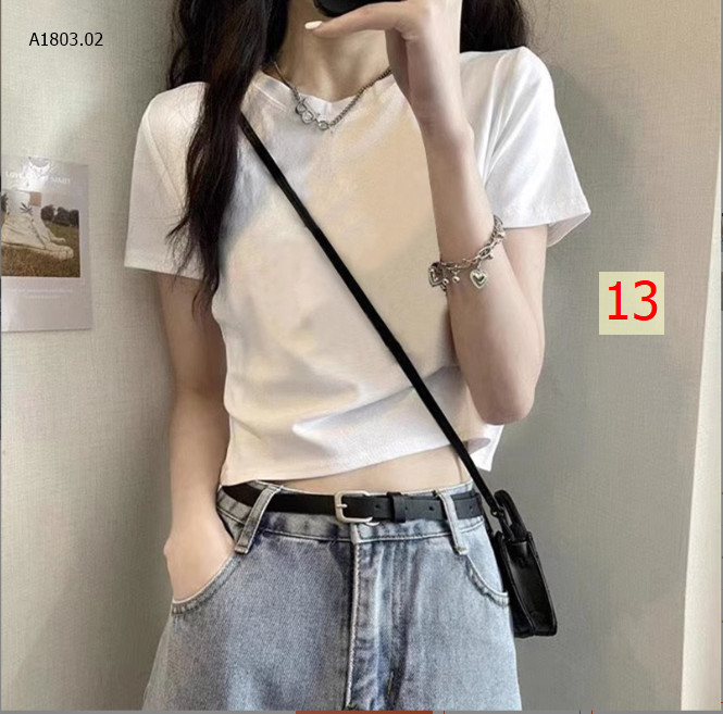 MẪU 13