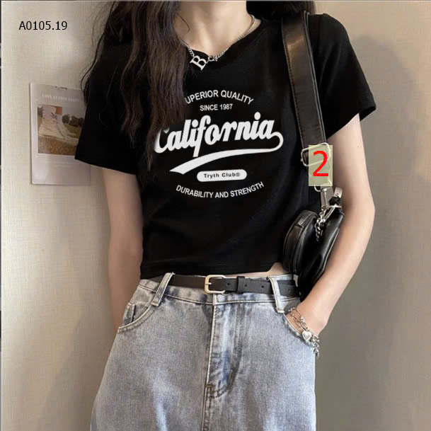 MẪU2