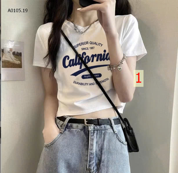 MẪU 1