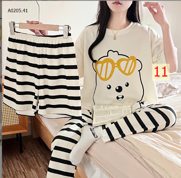 MẪU11
