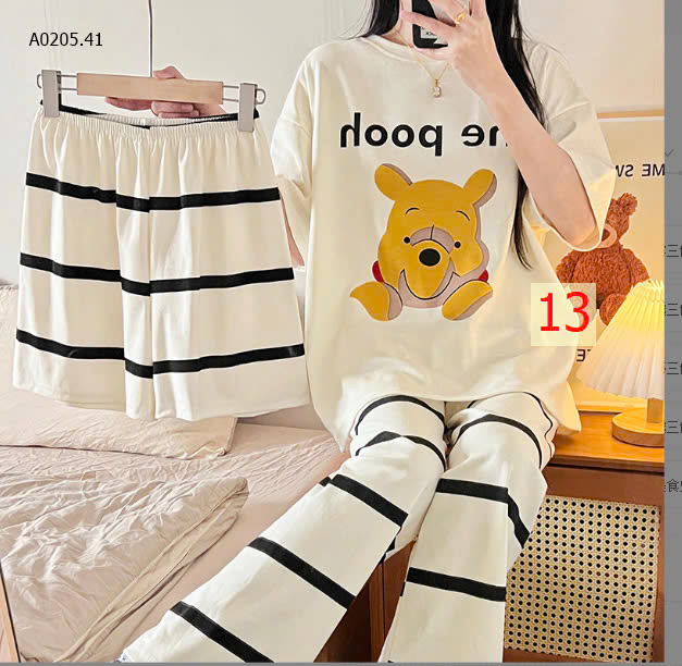 MẪU13