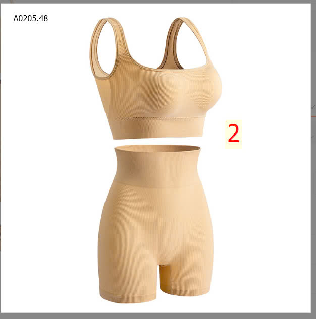 MẪU2
