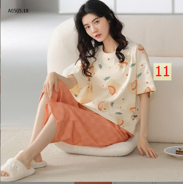 MẪU11