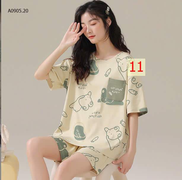 MẪU11