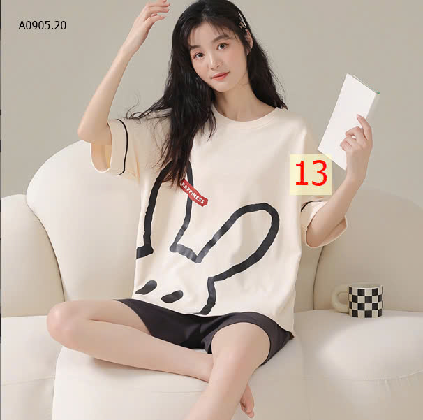 MẪU13