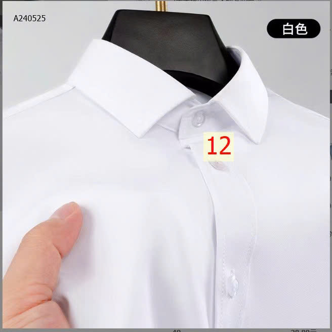 MẪU 12