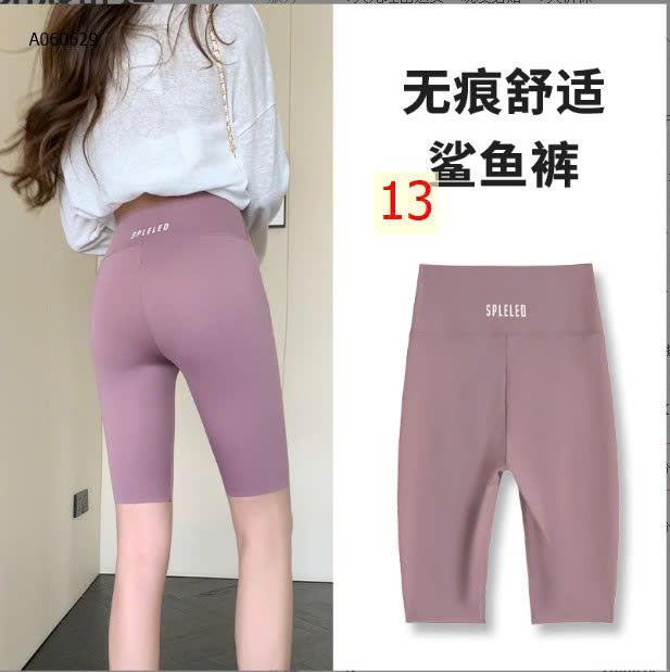 MẪU 13