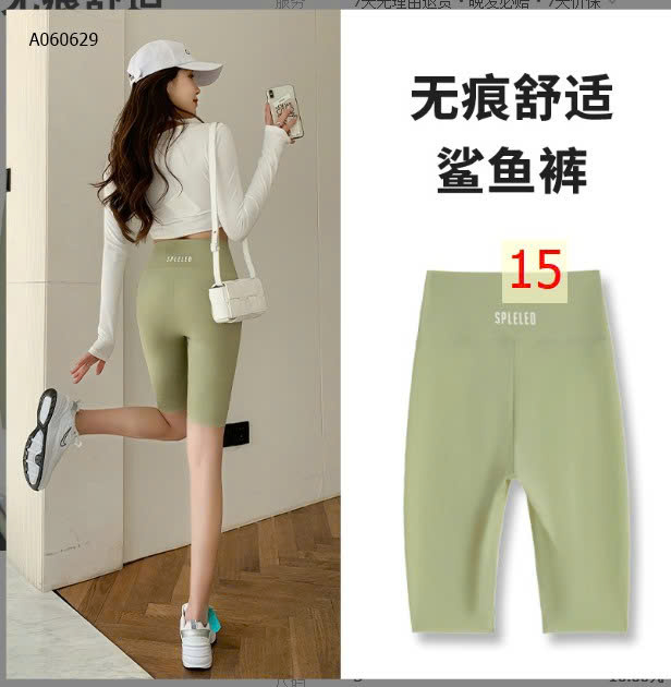 MẪU 15