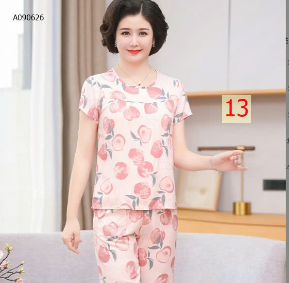 MẪU 13