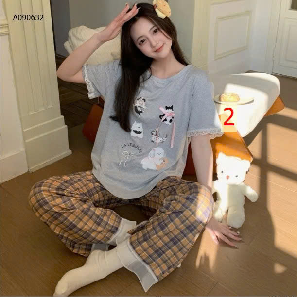 MẪU  2