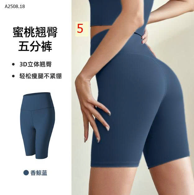 MẪU 5