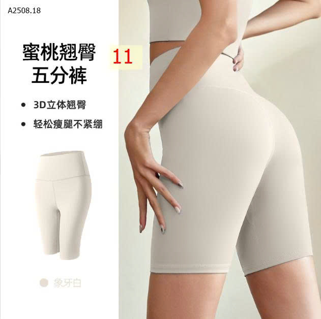 MẪU 11