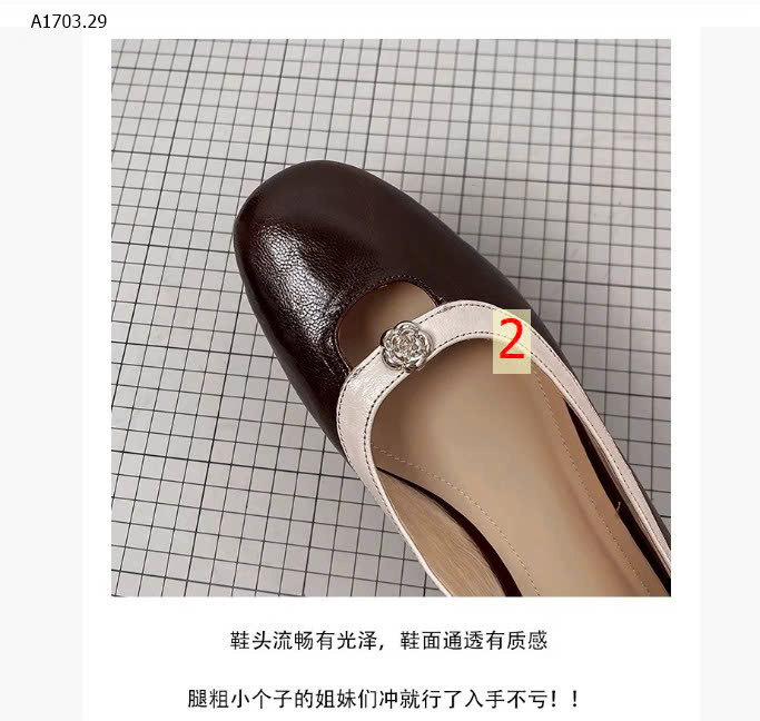 màu 2